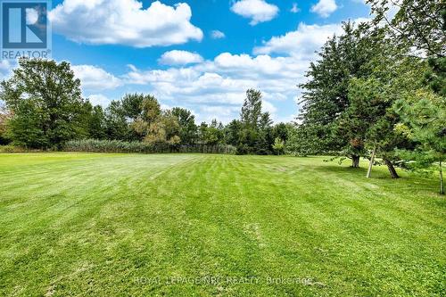 647 Chippawa Road, Port Colborne (Bethel), ON 