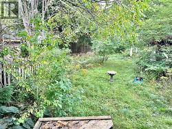 Backyard - 