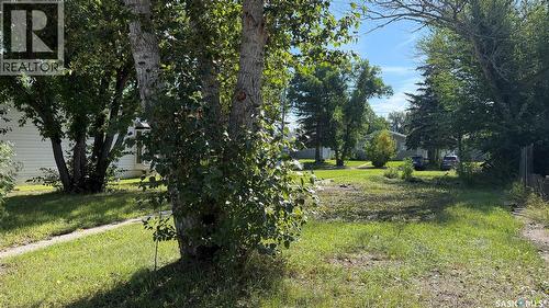 304 Mcgregor Street, Davidson, SK 