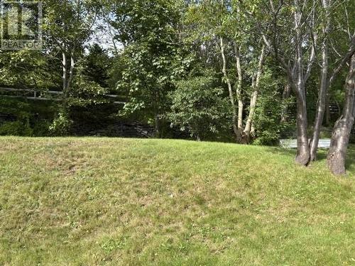 154 Harvey Street, Harbour Grace, NL 
