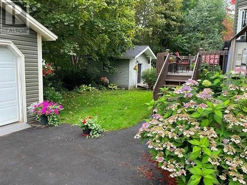 47 Elswick Road, Corner Brook, NL 
