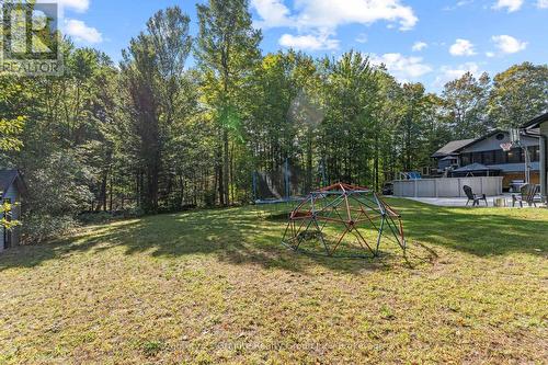 Large, Level Back Yard - 16408 35 Highway, Algonquin Highlands (Stanhope), ON 