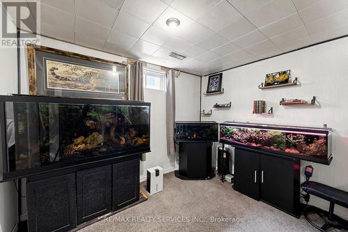 54 Griselda Crescent, Brampton, ON 