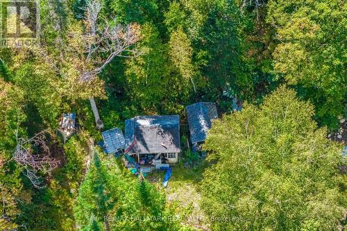 17000 Hwy 35, Algonquin Highlands, ON 