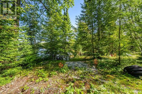 17000 Hwy 35, Algonquin Highlands, ON 