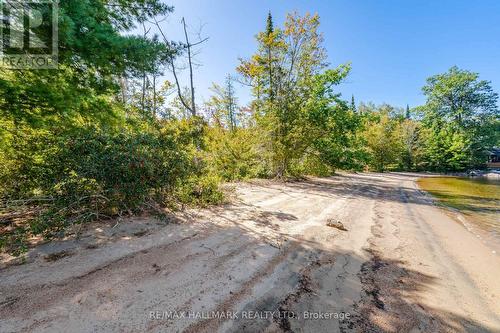 17000 Hwy 35, Algonquin Highlands, ON 
