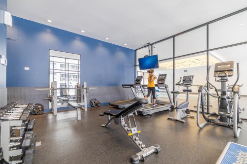 Salle d'exercice - 307-1375 Rue Des Bassins, Montréal (Le Sud-Ouest), QC 