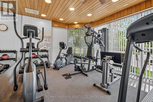 204 - 162 Martindale Road, St. Catharines (Grapeview), ON 