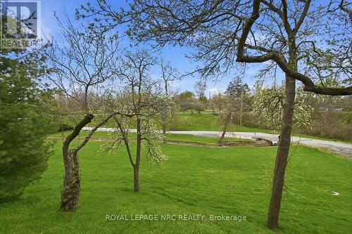 view from livingroom patio doors - 53 Pearson Road, Welland (Cooks Mills), ON 