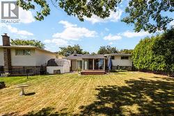 Expansive backyard with a wooden deck, mature perimeter trees, and a storage shed - 