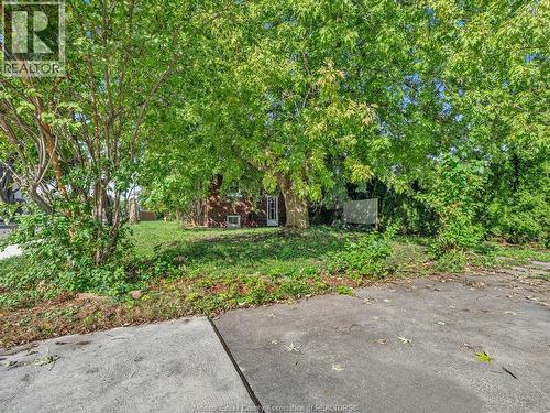 1396 Moy Avenue, Windsor, ON 