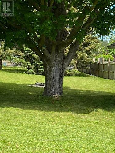 812 Burnham Street, Cobourg, ON 