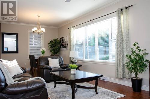 17 Livingstone Street, St. John'S, NL 