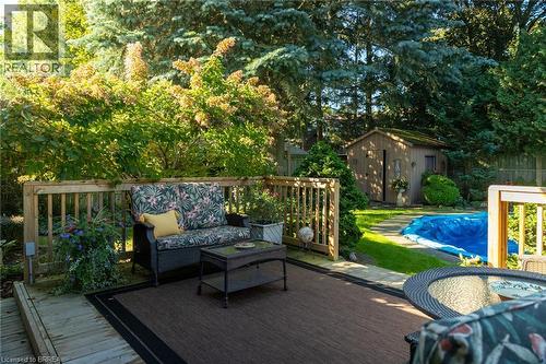 Expansive backyard featuring a wood deck, wood-slat fencing, mature trees, and an in-ground pool - 78 Berkley Crescent, Simcoe, ON 