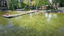 3919 Treeline Drive, Severn, ON 