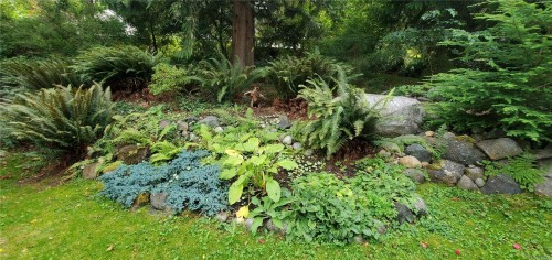 1371 Hooley Rd, Quadra Island, BC 