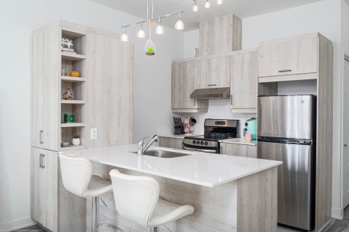 Kitchen - 406-7255 Rue De Lunan, Brossard, QC 