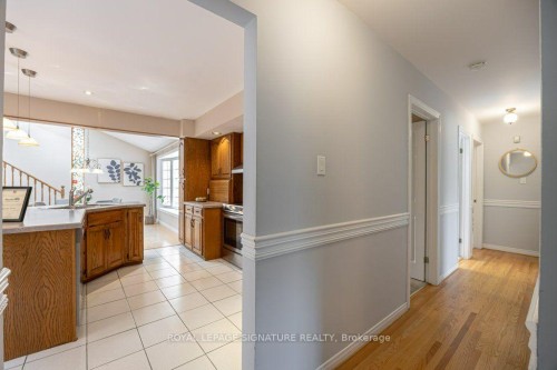7 Paulander Avenue, Toronto, ON 