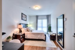 Chambre à coucher principale - 