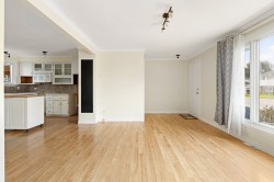 Salon - 