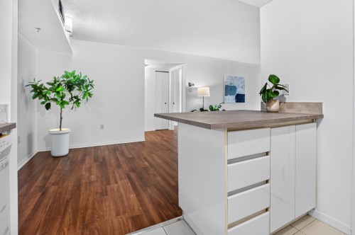 Vue d'ensemble - 1205-1625 Av. Lincoln, Montréal (Ville-Marie), QC 