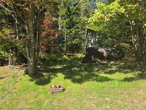 127 Mount Misery East Rd, Kingston, NB 