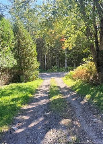 127 Mount Misery East Rd, Kingston, NB 