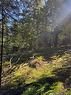 342 Tripp Settlement Rd, Keswick Ridge, NB 