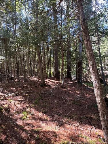342 Tripp Settlement Rd, Keswick Ridge, NB 