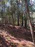 342 Tripp Settlement Rd, Keswick Ridge, NB 