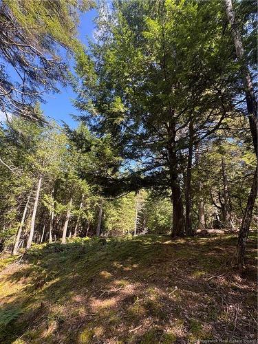342 Tripp Settlement Rd, Keswick Ridge, NB 