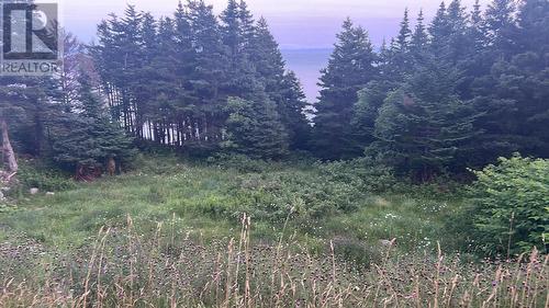 485 Oceanview Drive, Cape St. George, NL 