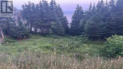 485 Oceanview Drive Cape St. George, NL A0N 1T1