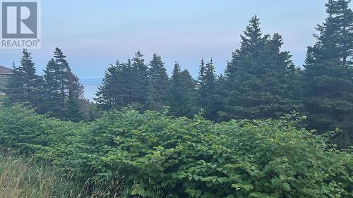 485 Oceanview Drive, Cape St. George, NL 