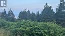 485 Oceanview Drive, Cape St. George, NL 