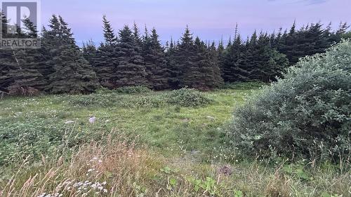 485 Oceanview Drive, Cape St. George, NL 
