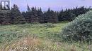 485 Oceanview Drive, Cape St. George, NL 