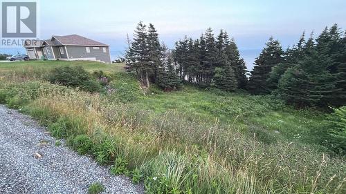 485 Oceanview Drive, Cape St. George, NL 