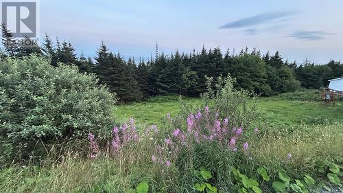 485 Oceanview Drive, Cape St. George, NL 