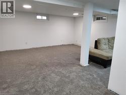 Recessed lighting, painted white walls, gray carpet, and two egress windows - 