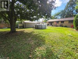 Spacious backyard featuring a large mature tree, above-ground pool, and a detached shed with a metal roof - 