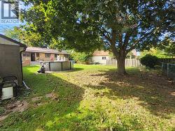 Expansive backyard featuring a large tree, green lawn, above-ground pool, and wood privacy fencing - 