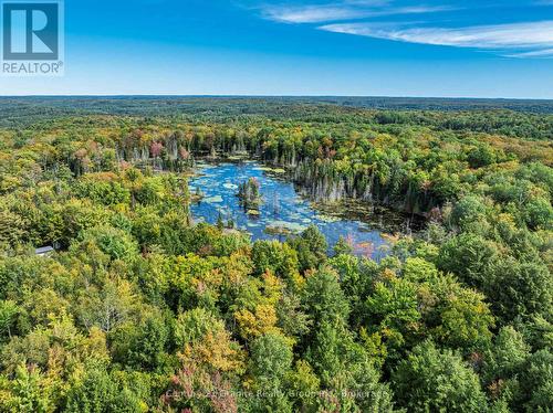 1453 Fleming Road, Minden Hills (Anson), ON 