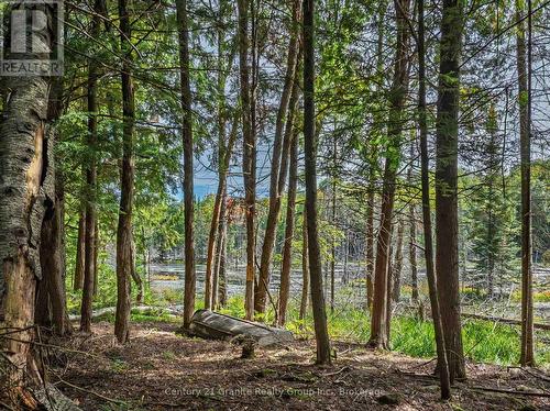 1453 Fleming Road, Minden Hills (Anson), ON 