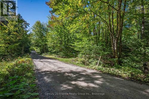 1453 Fleming Road, Minden Hills (Anson), ON 