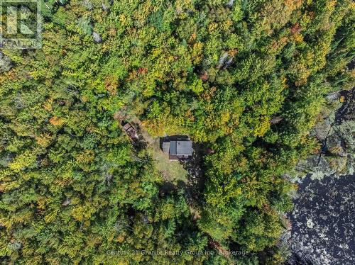 1453 Fleming Road, Minden Hills (Anson), ON 