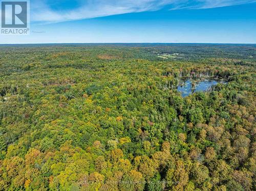 1453 Fleming Road, Minden Hills (Anson), ON 