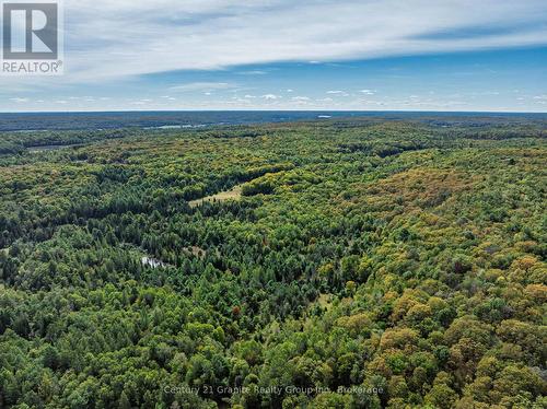 1453 Fleming Road, Minden Hills (Anson), ON 