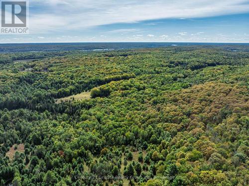 1453 Fleming Road, Minden Hills (Anson), ON 