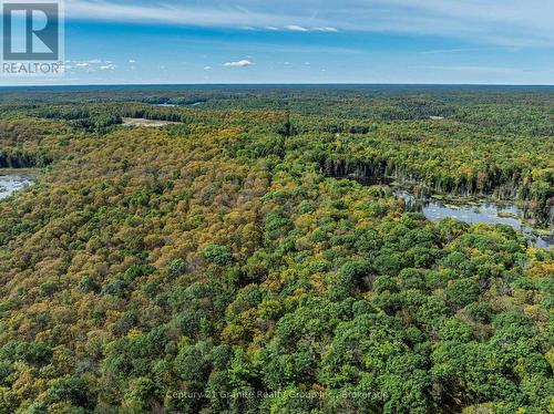 1453 Fleming Road, Minden Hills (Anson), ON 